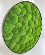 Round DIY Moss Picture Kit – Balled Moss - Image 8