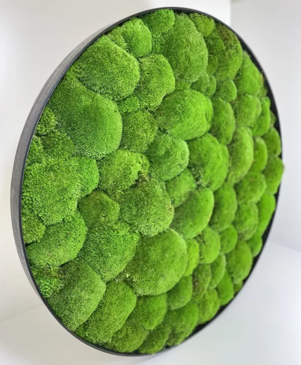 Round DIY Moss Picture Kit – Balled Moss - Image 8