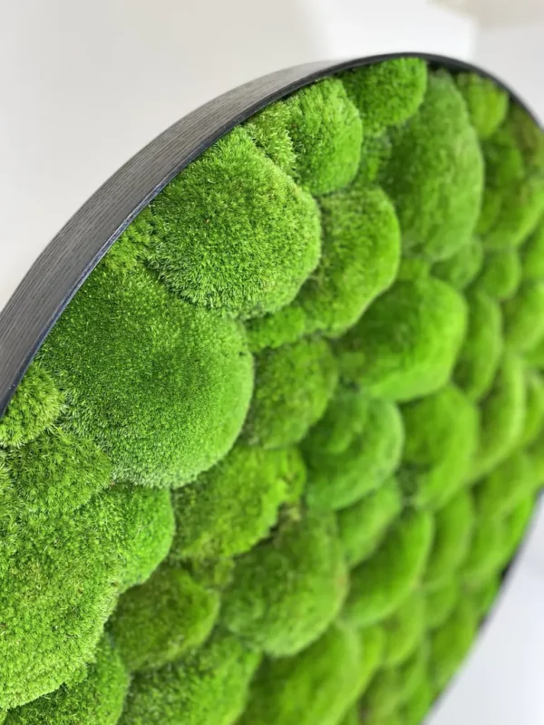 Round DIY Moss Picture Kit – Balled Moss - Image 7