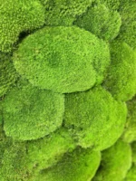 Round DIY Moss Picture Kit – Balled Moss - Image 9