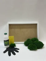 DIY Moss Picture Kit – Ball Moss - Image 8