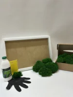 DIY Moss Picture Kit – Ball Moss - Image 7