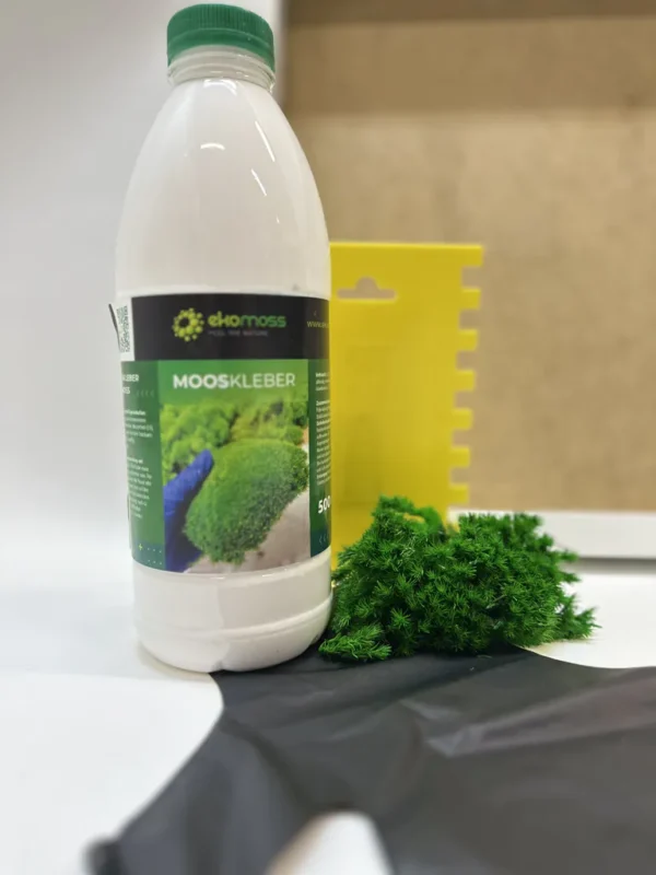 DIY Moss Picture Kit – Ball Moss - Image 6