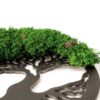 Close-up of black wooden Tree of Life wall art with textured green reindeer moss and small pine cones