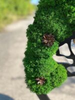 Moss Wall Art: Tree with Cones and Iceland Moss | Moss Tree - Image 8
