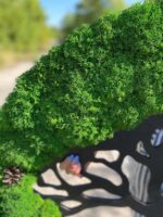 Moss Wall Art: Tree with Cones and Iceland Moss | Moss Tree - Image 7