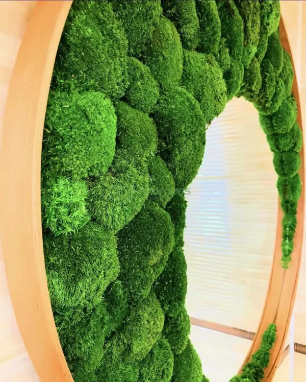 Round Framed Mirror with Ball Moss - Image 2