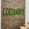 Green moss lettering spelling CORIANDER on a brown brick accent wall next to stairs
