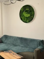 Real Moss Wall Art: Round with Moss & Fern - Image 5