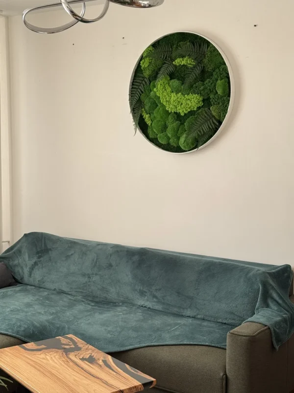 Real Moss Wall Art: Round with Moss & Fern - Image 5