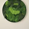 Circular wall art featuring mixed green preserved moss and fern leaves in a white frame.