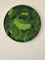 Real Moss Wall Art: Round with Moss & Fern - Image 6