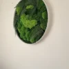 Side perspective of circular moss and fern wall art displaying layered green textures and white frame.