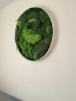 Real Moss Wall Art: Round with Moss & Fern - Image 7