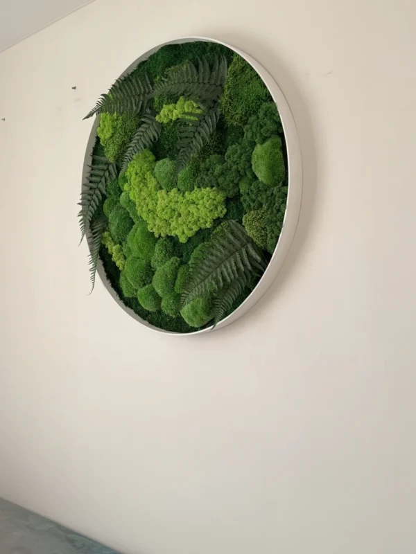 Real Moss Wall Art: Round with Moss & Fern - Image 7