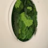 Round preserved moss and fern wall art in a white circular frame on a wall, side angled view.