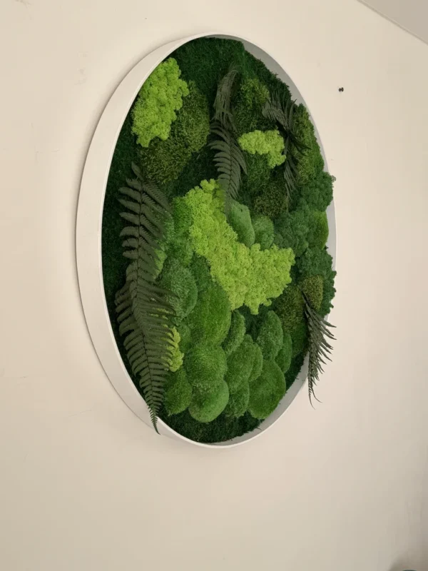 Real Moss Wall Art: Round with Moss & Fern - Image 8