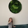 Round green moss and fern wall decor in a white frame above a sofa with a child giving a thumbs up.