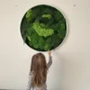 Child reaching to touch a round preserved moss and fern wall art installation in a white frame.