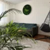Round green moss wall art in a white frame hanging above a sofa in a living room with house plants.