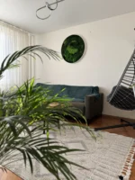 Real Moss Wall Art: Round with Moss & Fern - Image 11
