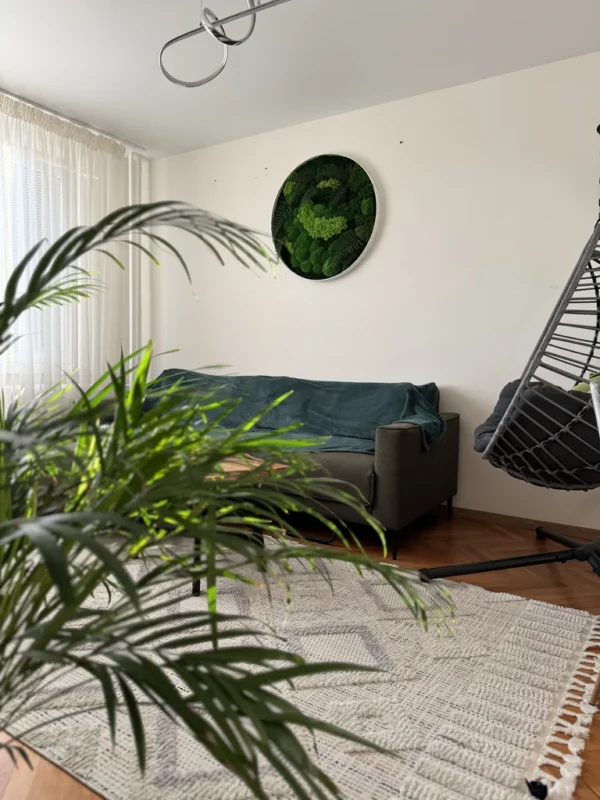 Real Moss Wall Art: Round with Moss & Fern - Image 11