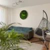 Round preserved moss wall art with a white frame displayed above a sofa next to a hanging egg chair.