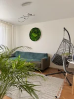 Real Moss Wall Art: Round with Moss & Fern - Image 12