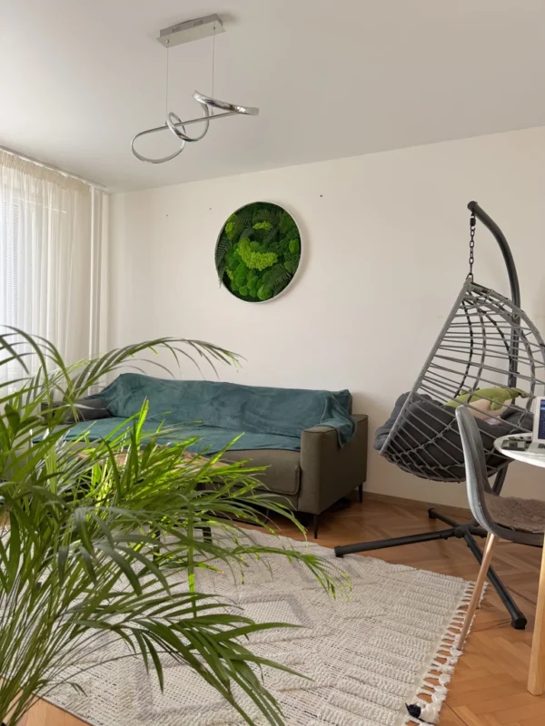 Real Moss Wall Art: Round with Moss & Fern - Image 12