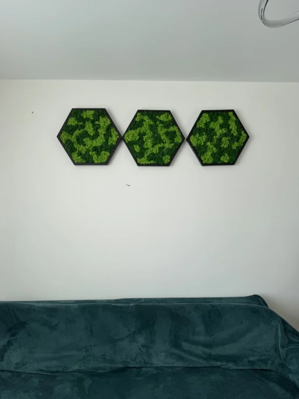 Hexagon Moss Wall Art with Reindeer Moss - Image 4