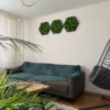 Hexagon moss wall art set in black frames displayed on a living room wall above a couch near a hanging chair