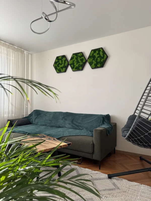 Hexagon Moss Wall Art with Reindeer Moss - Image 5