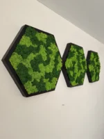 Hexagon Moss Wall Art with Reindeer Moss - Image 2