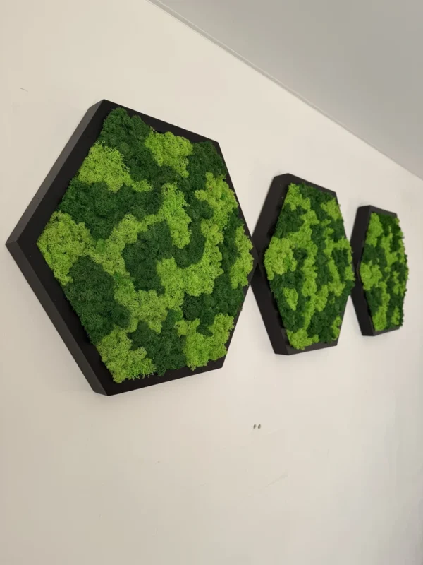 Hexagon Moss Wall Art with Reindeer Moss - Image 2