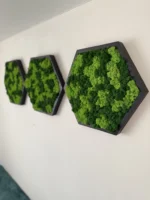 Hexagon Moss Wall Art with Reindeer Moss - Image 3