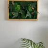 Rectangular moss wall art with preserved ferns and wood accents in a natural wooden frame on a white wall.