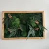 Rectangular preserved moss wall art with foliage and wood details in frame