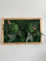 Moss Wall Art with Wood and Plants
