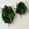Two white hexagon moss wall art frames with preserved foliage and ferns mounted on a plain wall.
