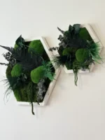 Live Hexagon Moss Picture – Unique Plant Arrangement - Image 3
