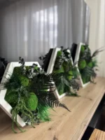 Live Hexagon Moss Picture – Unique Plant Arrangement - Image 5