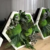 Hexagon moss wall art in white frame with lush preserved ball moss, eucalyptus, and fern fronds on wooden table