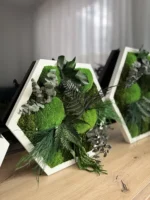 Live Hexagon Moss Picture – Unique Plant Arrangement - Image 6