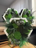 Live Hexagon Moss Picture – Unique Plant Arrangement - Image 7