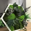 Hexagon moss wall art in a white frame with preserved ferns and eucalyptus resting on a light wood surface.
