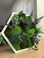 Live Hexagon Moss Picture – Unique Plant Arrangement - Image 2