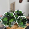 Three white hexagon moss wall art frames in varied sizes on a wooden table in a bright room.