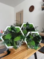 Live Hexagon Moss Picture – Unique Plant Arrangement - Image 8
