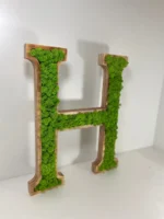 3D Wood Letters for Logo with Iceland Moss A–Z 0–9