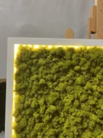 Moss Wall Art with Reindeer Moss and LED Lighting - Image 3